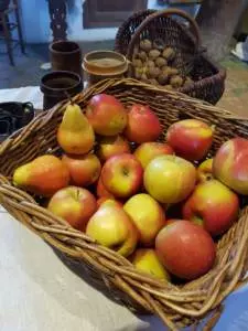 Burgbelebung Linn, Tisch mit Obstkorb und Nüssen
